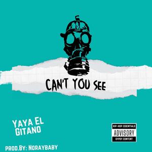 Can't You See (Explicit)