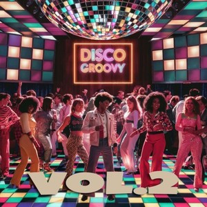 Disco Groovy Vol. 2