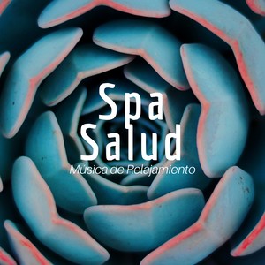 Spa Salud - Música de Relajamiento para la Relajación Mental con la Mejor Musica Relajante Instrumental