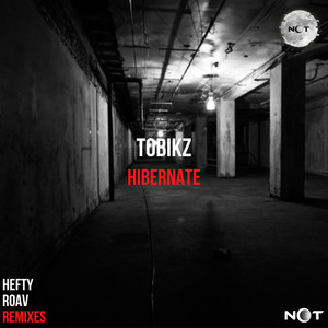 Hibernate (Roav Remix)