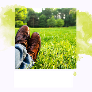 Relaxing Zen Music Therapy - Vibrations de Chill Out Magique de la Terre