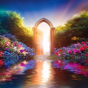 Meadows In Bloom