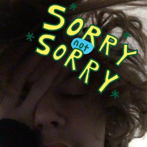 Sorry Not Sorry (Explicit)