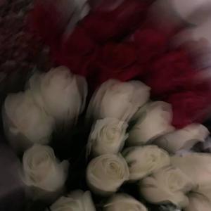 ROSES (feat. josezeroquatro) (Explicit)