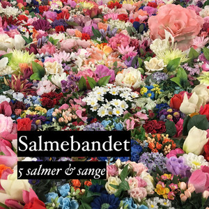 Danmark Nu Blunder Den Lyse Nat