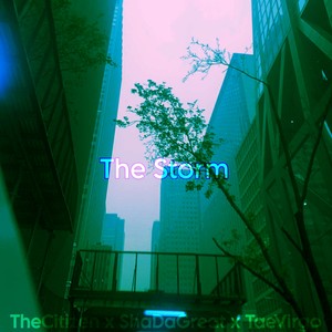 The Storm (Explicit)