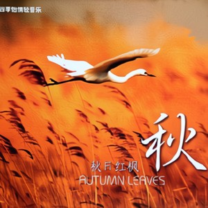 葡萄成熟时-纯音乐