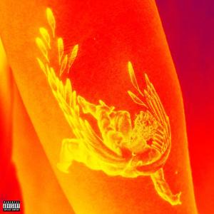 Icarus (feat. David Daze) (Explicit)