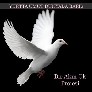 Yurtta Umut Dünyada Barış İçin (Bir Akın Ok Projesi)