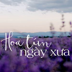Hoa Tím Ngày Xưa