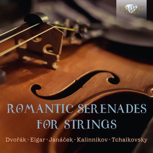 Serenade for Strings in C Major, Op. 48 - IV. Finale. Andante. Allegro con spirit (第四乐章 终曲 - 行板 - 精神饱满的快板)