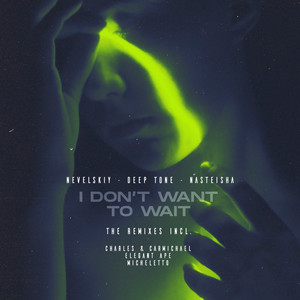 I Don't Want to Wait (Micheletto Remix)