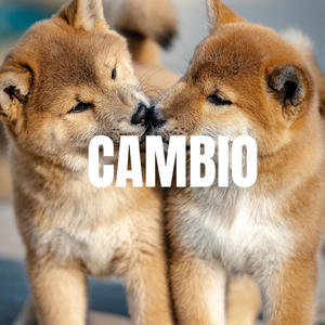 CAMBIOSS (Explicit)
