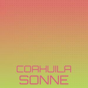 Coahuila Sonne