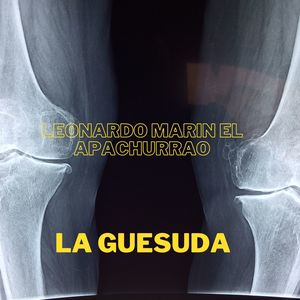 La Guesuda