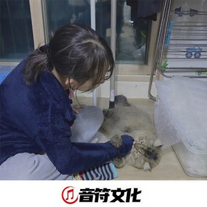 游山恋 (DJ搬)