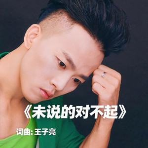 未说的对不起 (Demo)