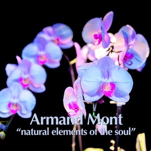 Natural Elements of the Soul