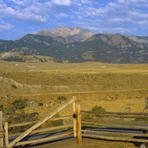 你呀你呀 (DJ小八斗版)