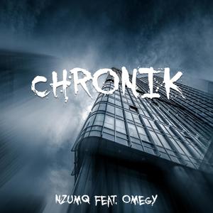 Chronik (feat. Omegy)