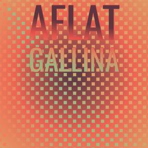 Aflat Gallina