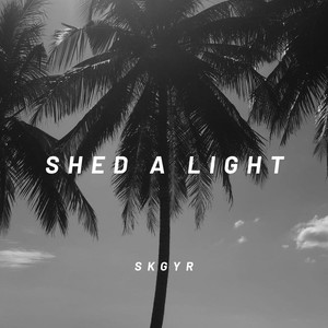Robin Schulz-Shed a Light (SKGYR remix|Radio)封面