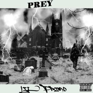 Prey