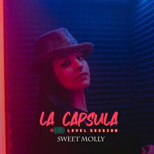 Level Session 28(feat. Sweet Molly) (Explicit)
