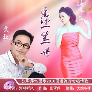 爱你一生一世封面