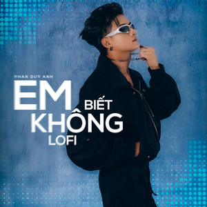 Em Biết Không (Lofi Beat)
