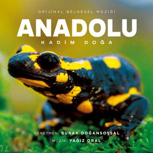 Destansı Bir Yolculuk