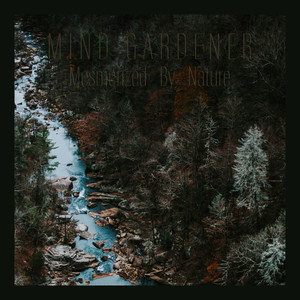 Mesmerized by Nature