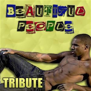 Beautiful People (Chris Brown Feat. Benny Benassi Tribute)