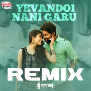 Yevandoi Nani Garu Remix (From "Mca")