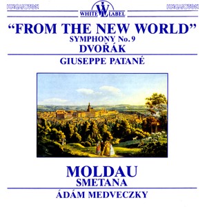 Symphony No. 9 in E Minor, Op. 95, B. 178 