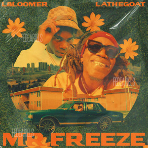Mr. Freeze (Explicit)