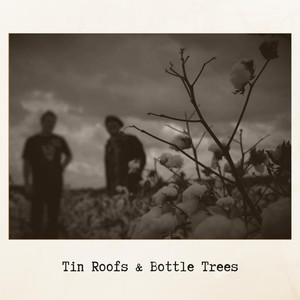 Tin Roofs & Bottle Trees