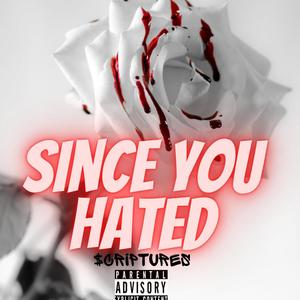 Since You Hated (Explicit)