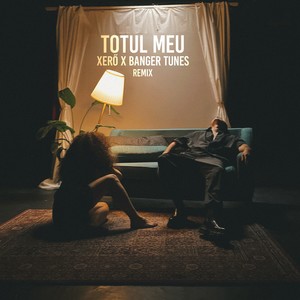 Totul Meu (Remix)