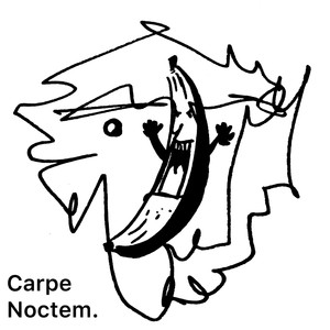 Carpe Noctem