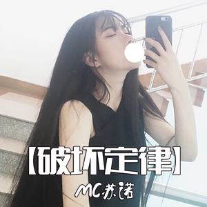 王者荣耀 (DJ版)