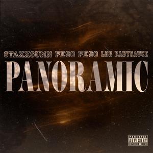Panoramic (feat. Peso Peso & LBR Babysauce) (Explicit)