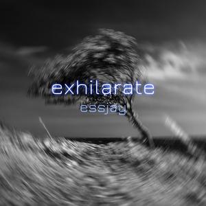 exhilarate