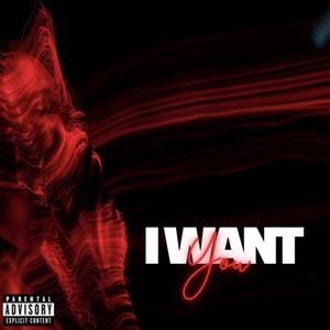 I Want You (feat. Shamzy) (Explicit)