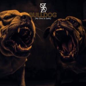 Bulldog (No One Is Safe) [Explicit]