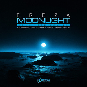 Moonlight (Platinum Monkey Remix)