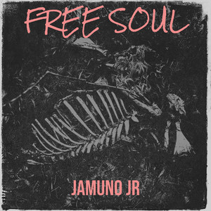 Free Soul (Explicit)