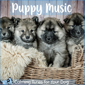 Puppy Music - Calming Tunes for Your Dog