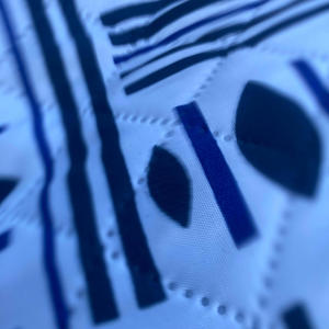 **** YOU YOUR CAREER IS GONE (feat. xoxoclementine) (Explicit)