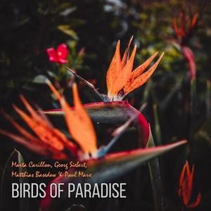 Birds Of Paradise (feat. Marta Carillon, Matthias Basedow & Georg Siebert)